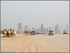 Freeway, desert-style