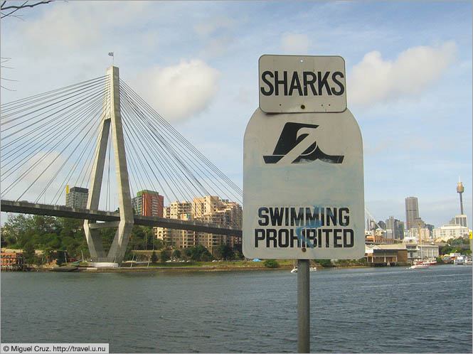 Australia: Sydney: ANZAC Bridge