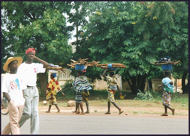 Ivory Coast: Division of labor