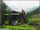 Farm shed