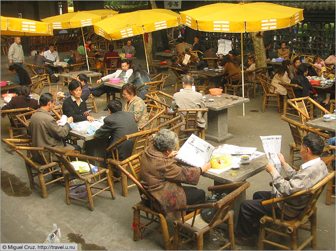 China: Sichuan Province: Chengdu tea garden