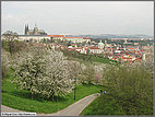 View from the edge of town