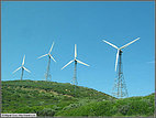 Wind farm