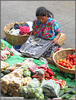 Sidewalk produce