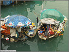 Cleaning fish in the harbor