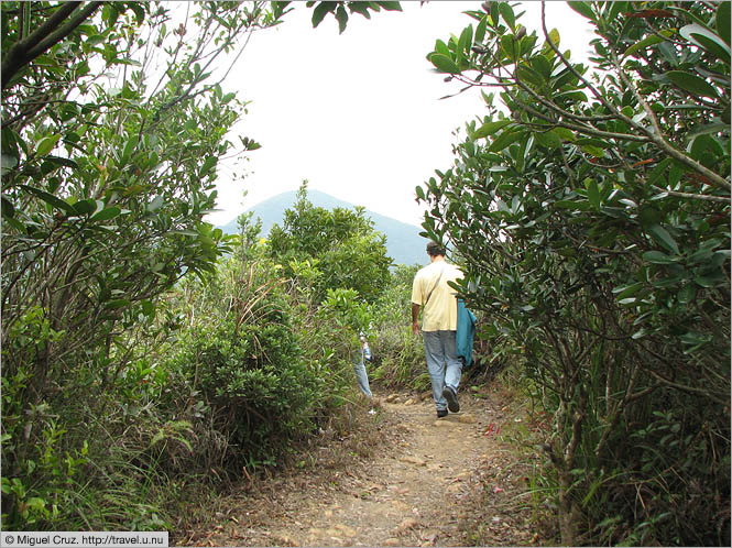 Hong Kong: Hong Kong Island: A walk in the woods