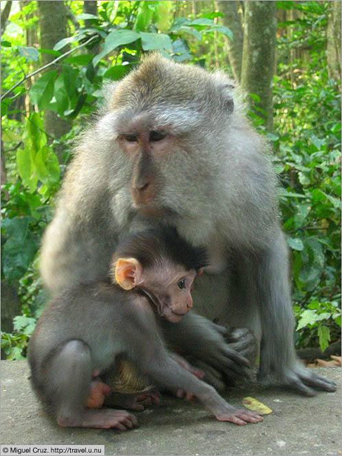 Indonesia: Bali: Mother and child