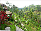 Restaurants overlooking rice terraces