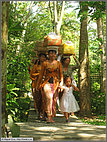 Bringing offerings to the temple