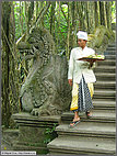 Bridge in the Monkey Forest