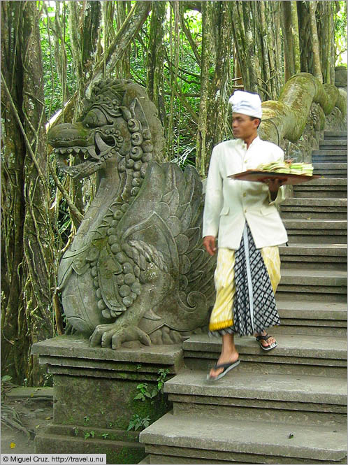 Indonesia: Bali: Bridge in the Monkey Forest