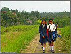 Walking home from school