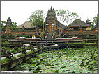 Behind the Lotus Cafe in Ubud