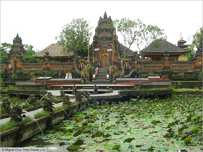 Indonesia: Bali: Behind the Lotus Cafe in Ubud