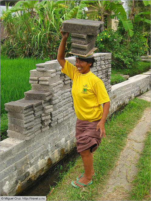 Indonesia: Bali: Heavy load