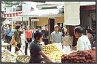 Weekend revelers in Bukit Lawang