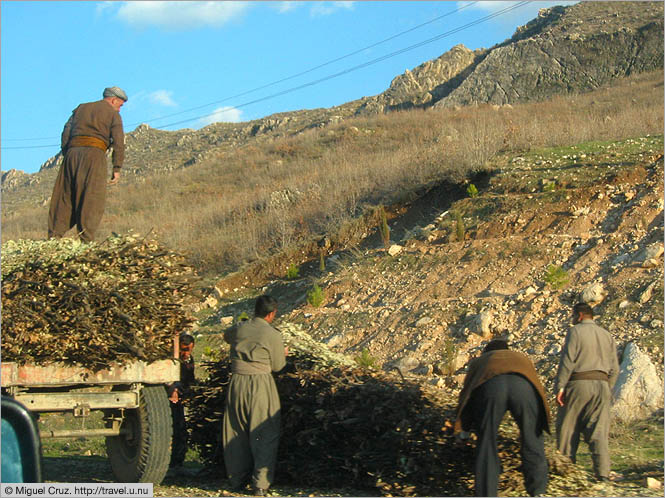 Iraq: Dohuk Province: Roadside work