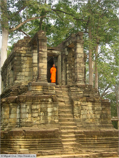 Cambodia: Siem Reap and Angkor Wat: Monk surveying Bayon temple