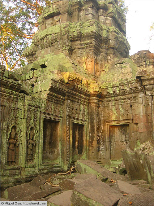 Cambodia: Siem Reap and Angkor Wat: Green stone at Ta Prohm