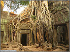 Ta Prohm: the 