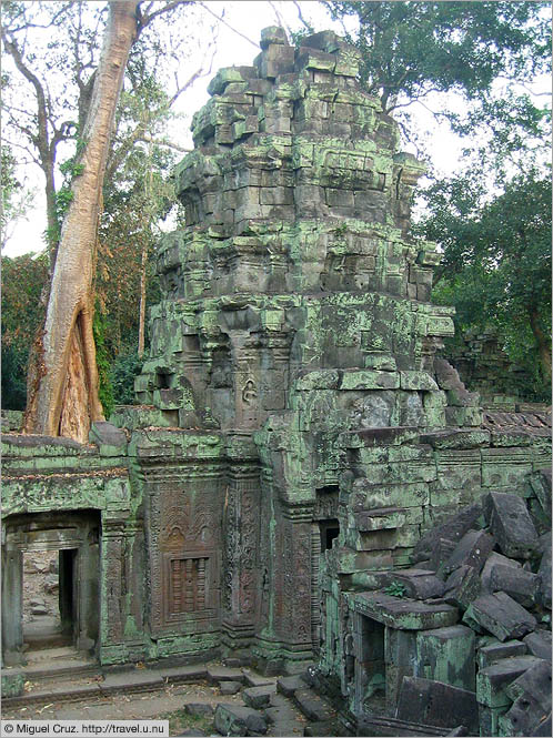 Cambodia: Siem Reap and Angkor Wat: Ta Prohm green