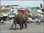 Waiting at the light