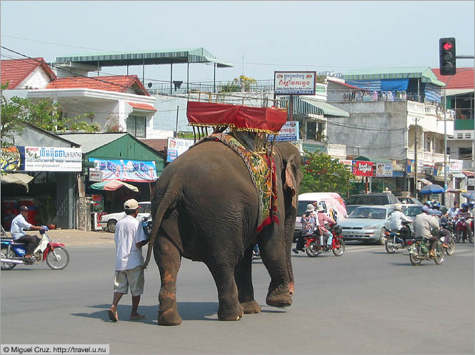 Cambodia: Phnom Penh: Waiting at the light