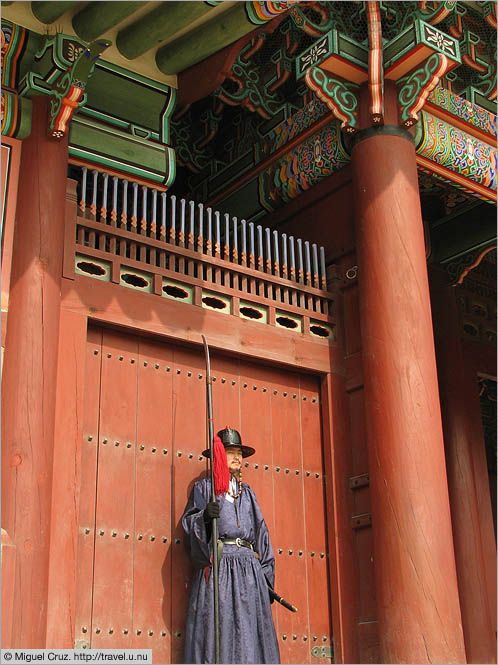 South Korea: Seoul: Stoic palace guard