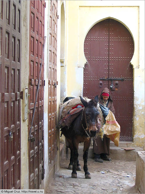 Morocco: Fes: Donkey and door