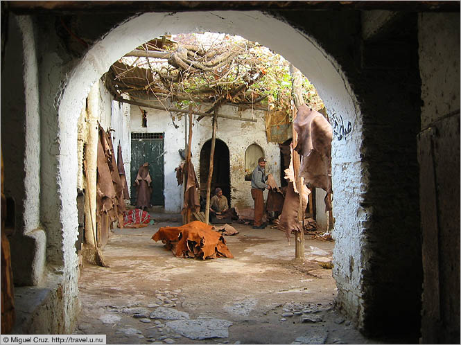 Morocco: Fes: Leather workers