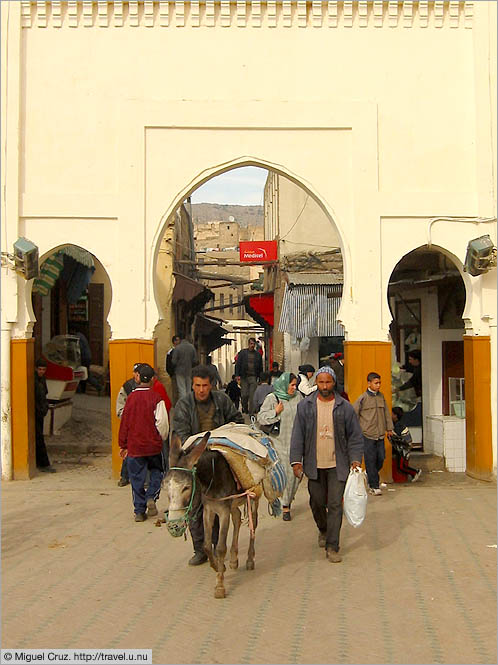 Morocco: Fes: One of the many city gates