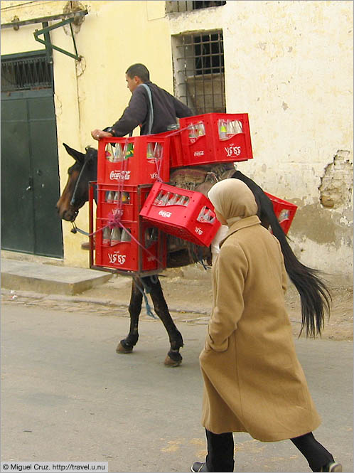 Morocco: Fes: Soda delivery