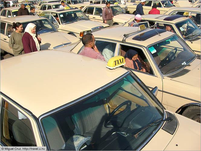 Morocco: Marrakech: No taxi shortage