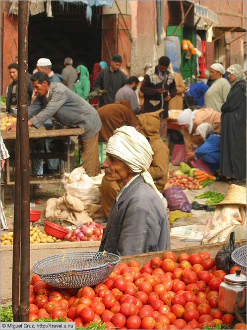 Morocco: Marrakech: Tomato man