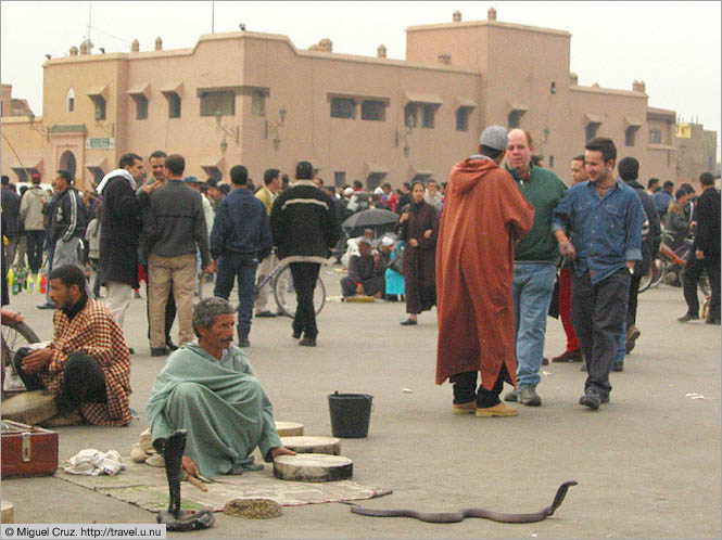Morocco: Marrakech: Snake charmer