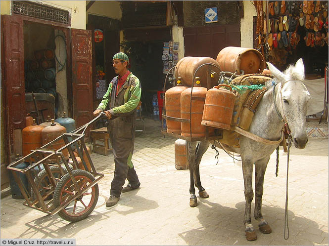 Morocco: Fes: Two main modes of transport