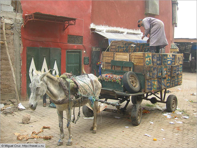 Morocco: Marrakech: Loading up