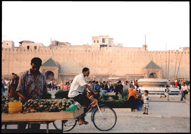 Morocco: Meknes: Dusk in Meknes