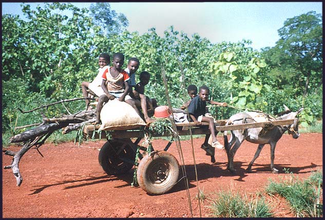 Mali: San: Busy commute