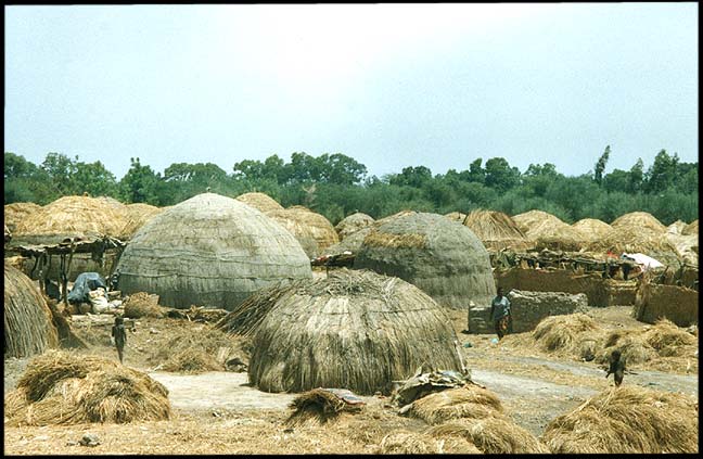 Mali: Mopti: Traditional huts on the outskirts of Mopti