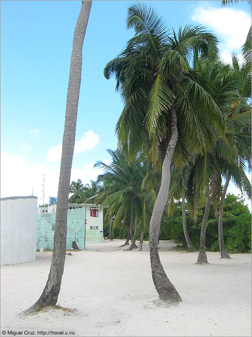 Maldives: Viligili: The thrill of island life