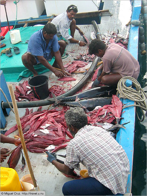 Maldives: Mal&eacute;: The flensmen