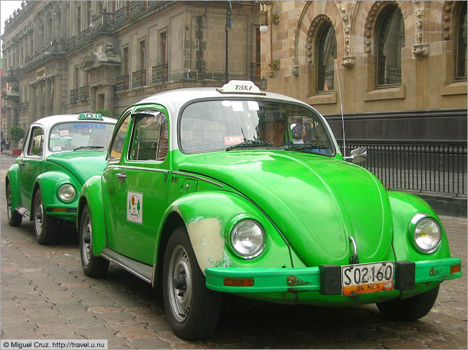 Mexico: Mexico City: More green bugs