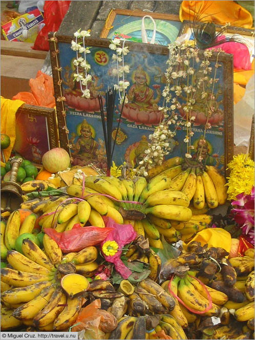Malaysia: Thaipusam in KL: Banana offering