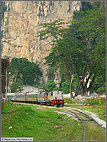Thaipusam train