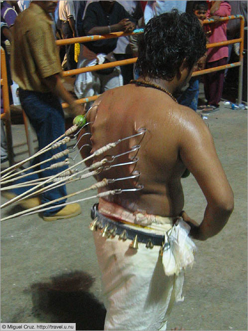 Malaysia: Thaipusam in KL: Tugging at the hooks