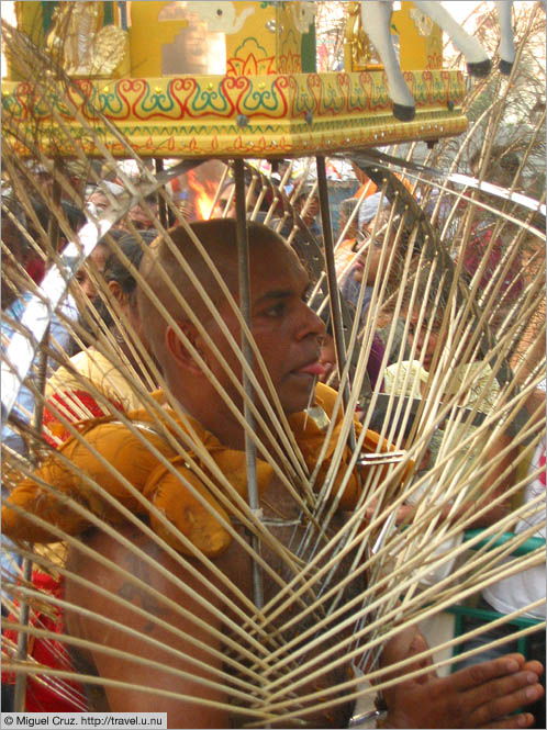 Malaysia: Thaipusam in KL: Human peacock