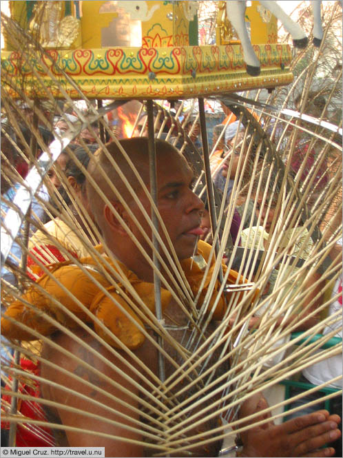 Malaysia: Thaipusam in KL: Human peacock