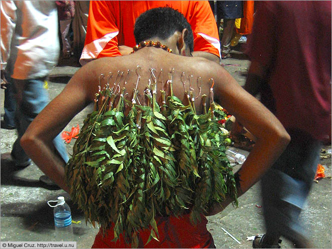 Malaysia: Thaipusam in KL: Hanging plants