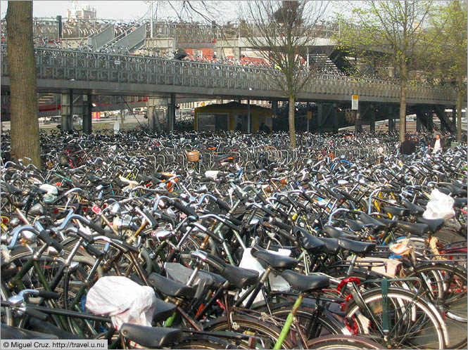 Netherlands: Amsterdam: Bike rack